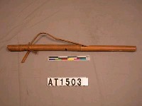 藏品(彈力槍)的圖片